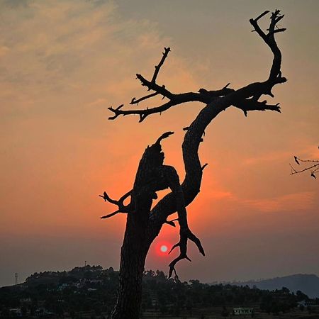 Katyuri Kings Divine Stay- Babaji'S Cave Dwarahat Dış mekan fotoğraf