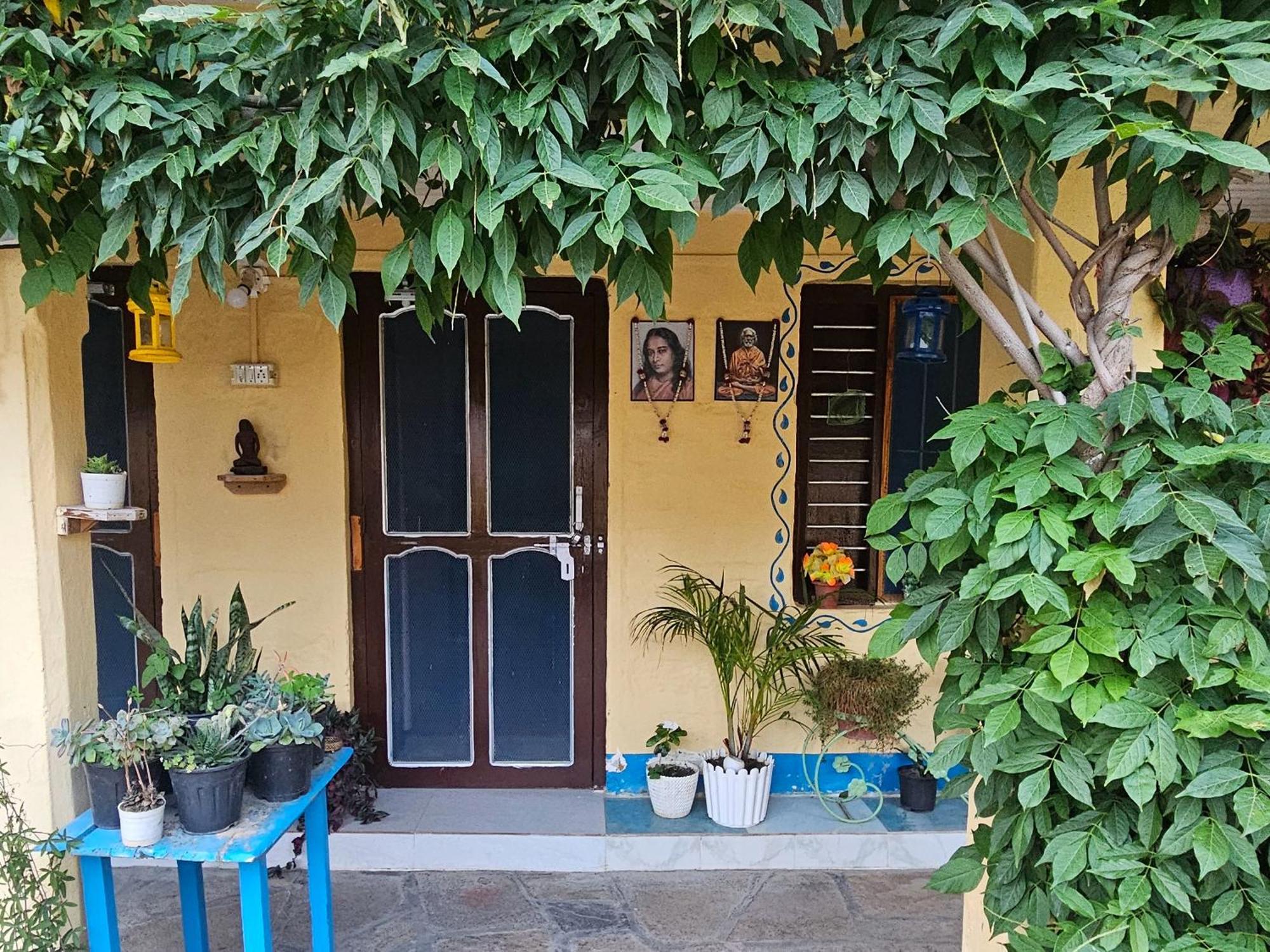 Katyuri Kings Divine Stay- Babaji'S Cave Dwarahat Oda fotoğraf
